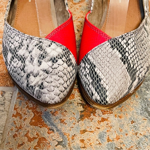 🌹Toms Snake/Python Print Red, Black & White Flats! - Picture 11 of 13